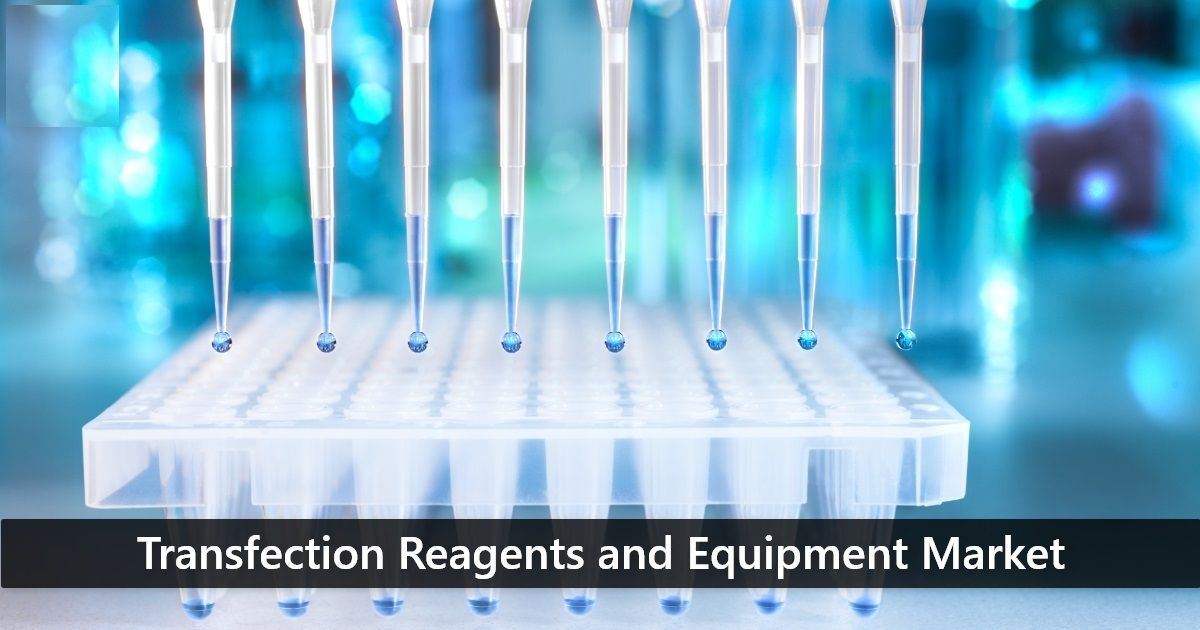 Transfection Reagents and Equipment Market 2022 |  Fastest Growth
