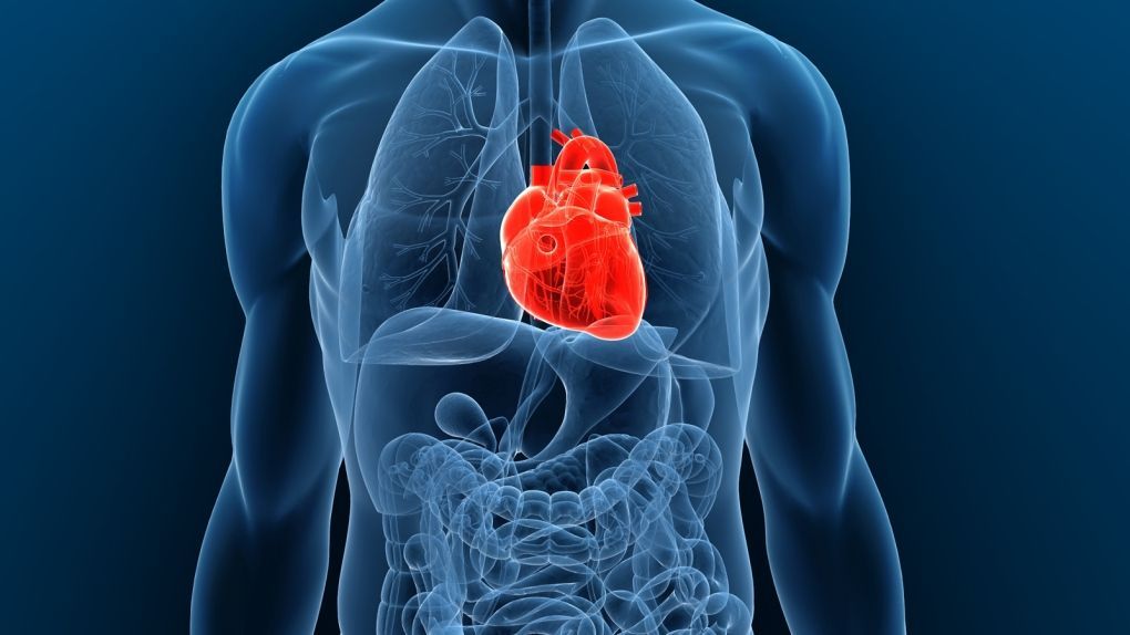 Transthyretin Amyloidosis Treatment Market Regional Overview 2028