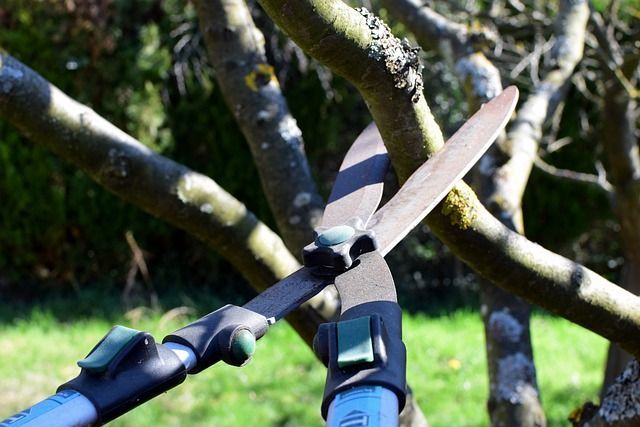 Selective Pruning Techniques: Tailoring Solutions for Unique Tree