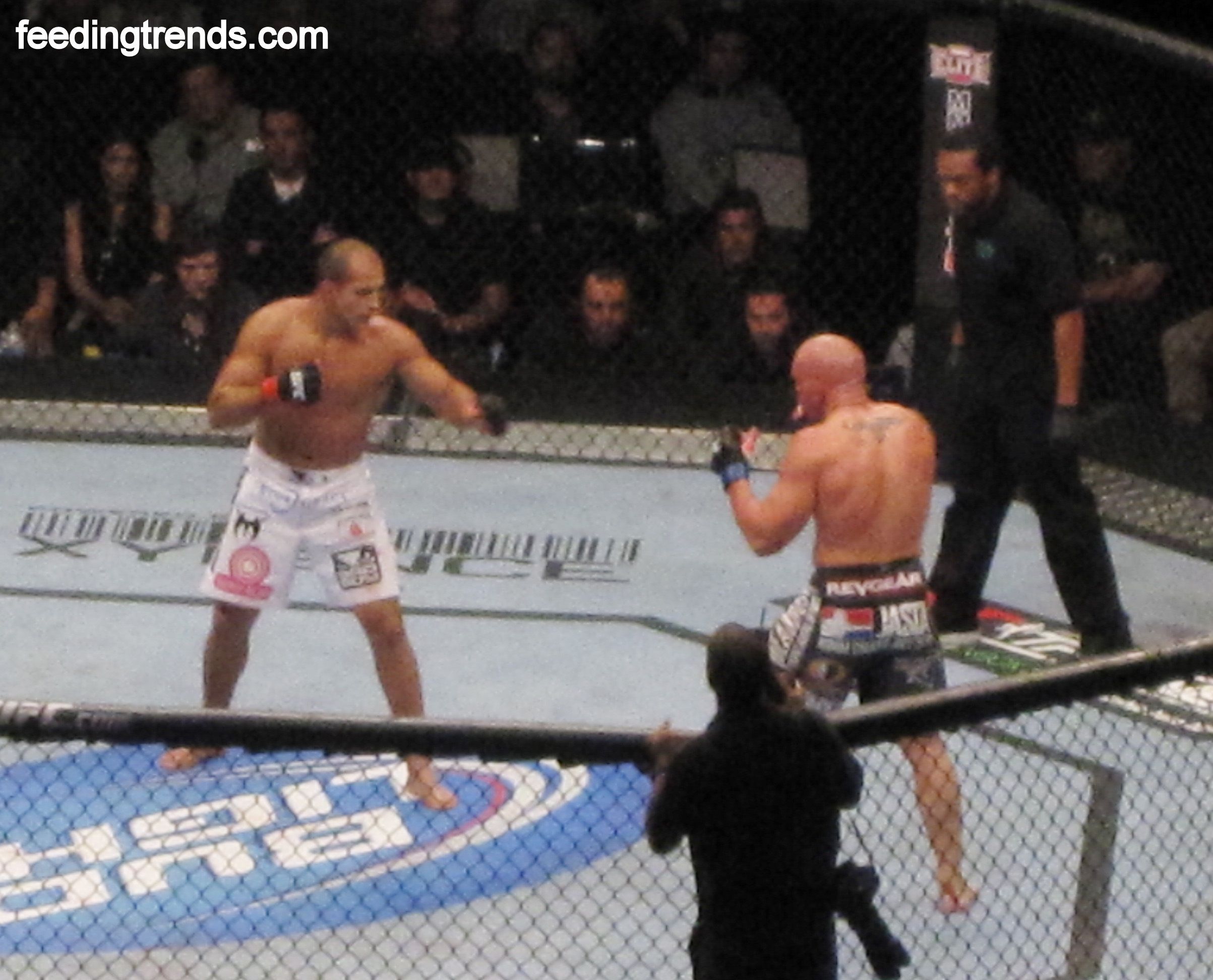 Top 10 Most Earning UFC Fighters