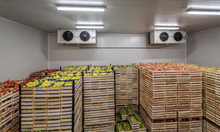 United States Cold Storage Market Share, Size, Growth & Trends by 2034