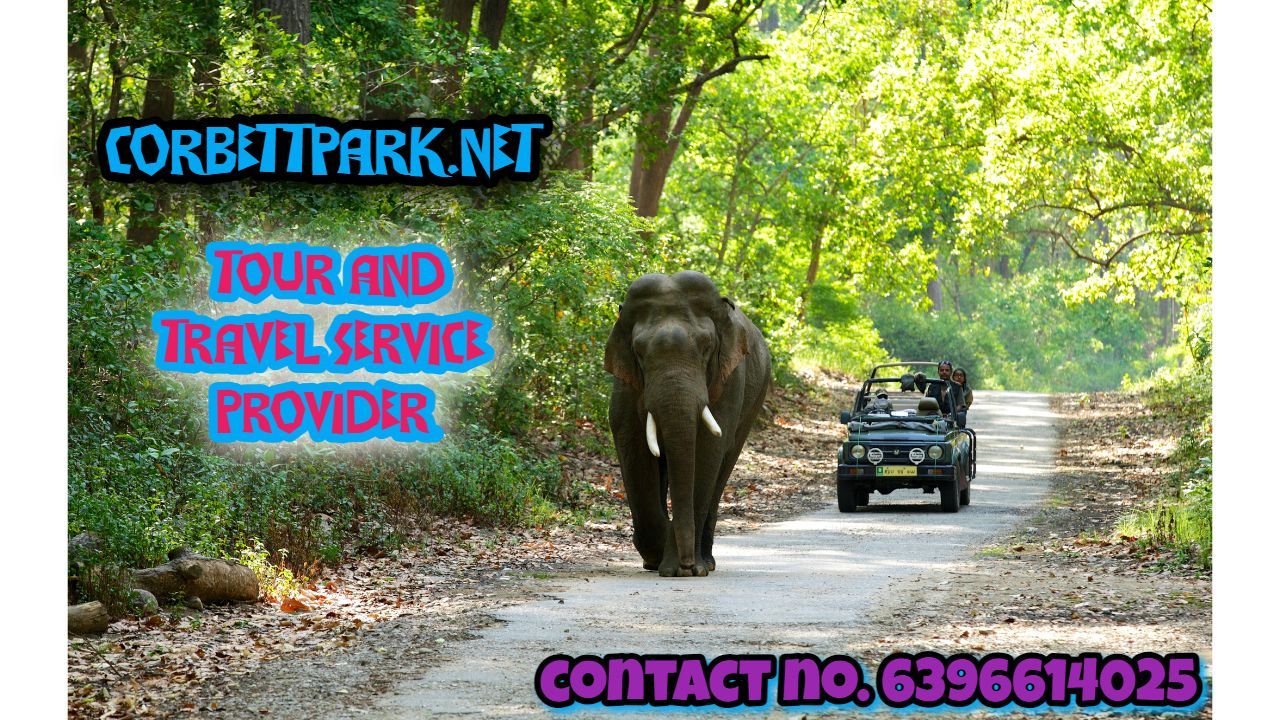 Corbett Safari Booking Price Staring at Just

 