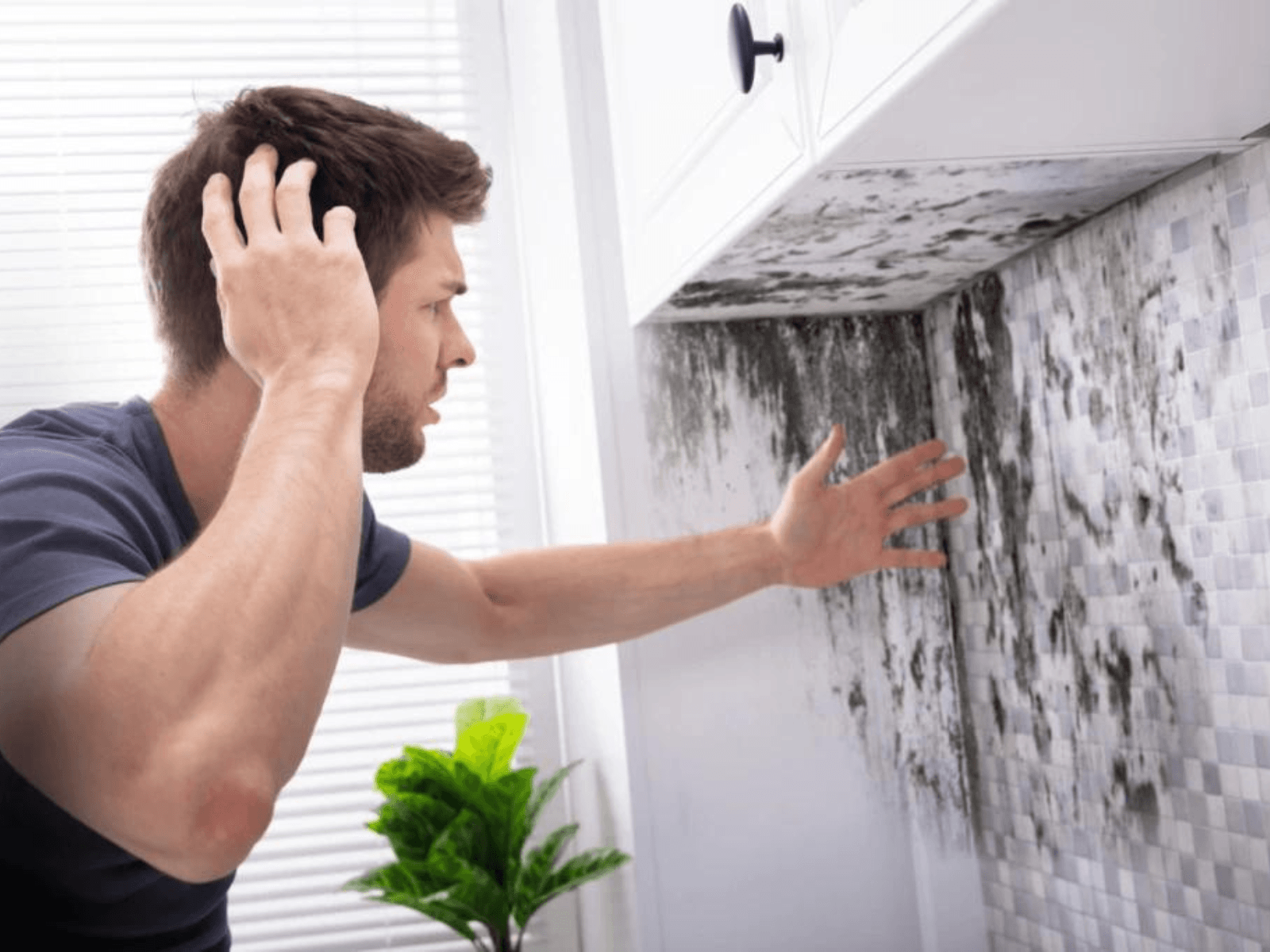 Health Symptoms Due to Absence of Proper Mold Removal Services