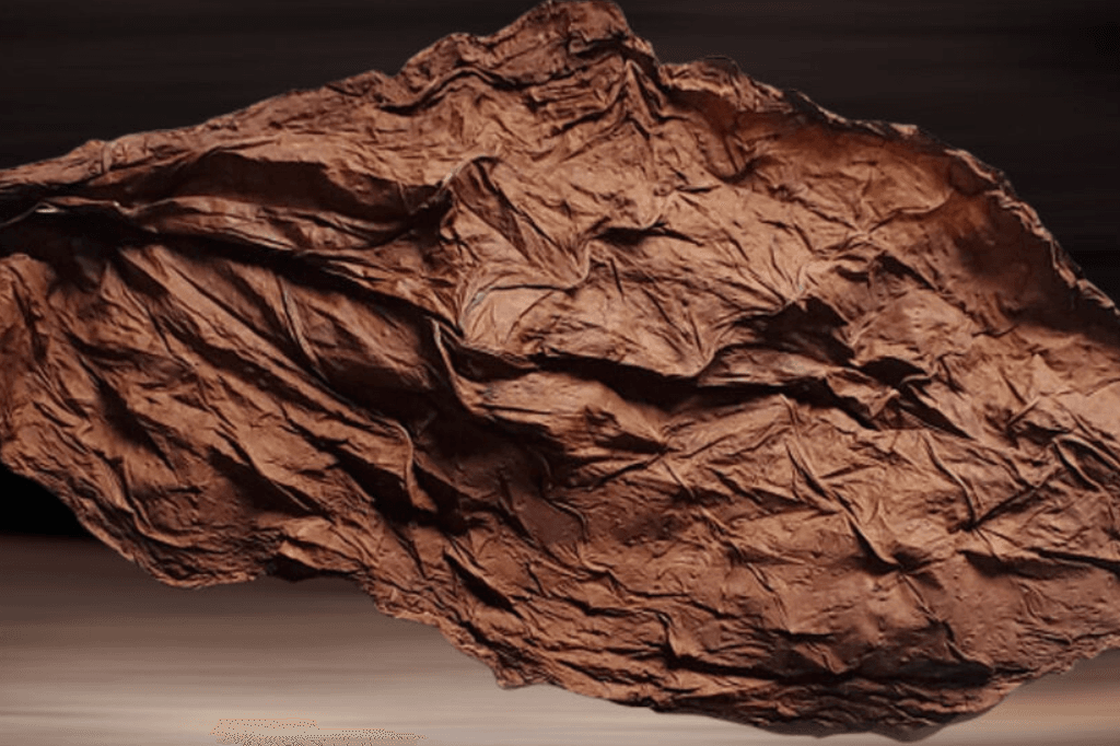 How to Properly Store and Prepare Grabba Leaf for Smoking