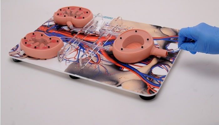 Urology Devices Market 2022 Size & Forecast Research Report