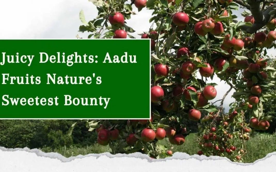 Juicy Delights: Aadu Fruits Nature’s Sweetest Bounty