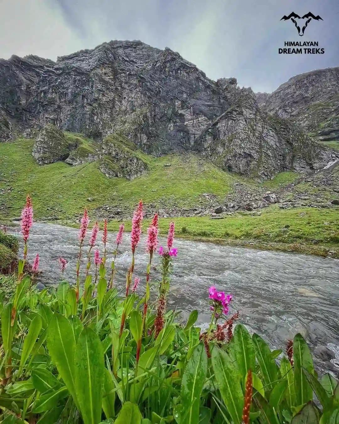 valley of flower from hampta pass