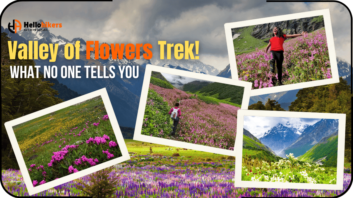 Valley of Flowers Trek in Uttarakhand – A Floral Dream in the Himalayas