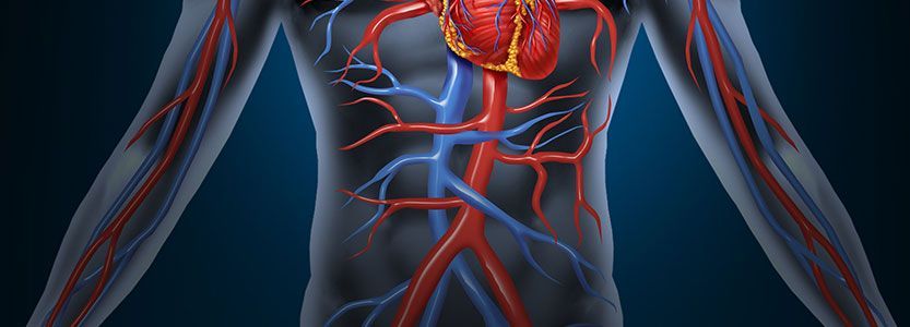 Vascular Injury Treatment Market Size, Overview & Forecast 2028
