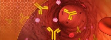 Vedolizumab Market Key Players and Industry Analysis Till 2028
