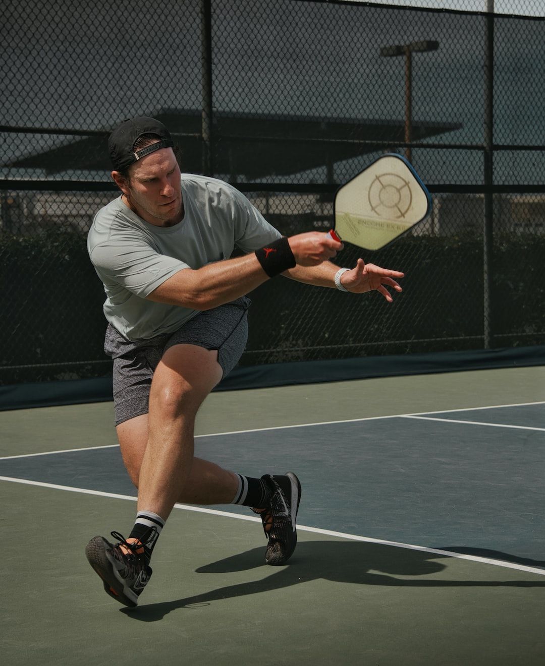 Exploring Pickleball Delight: The Rich Category of Courts