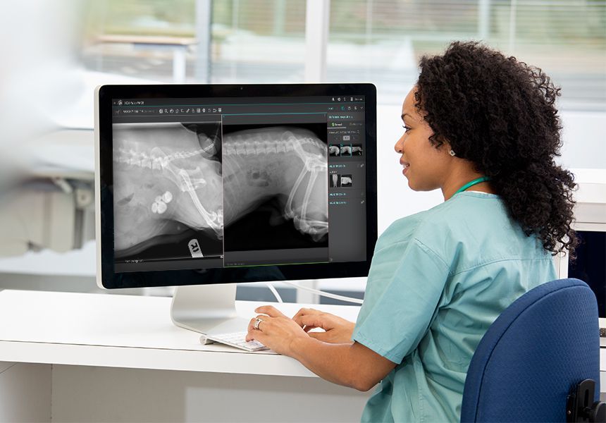 Veterinary Diagnostic Imaging Market Robust Pace of Industry