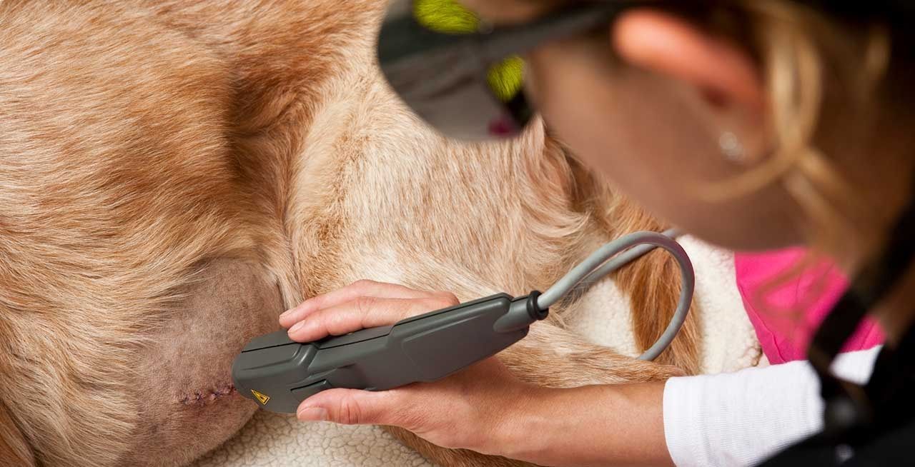 Veterinary Lasers Market Report, Opportunity & Forecast to 2028