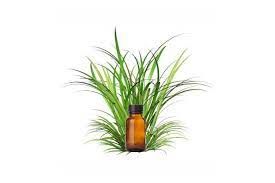Vetiver Oil Market Size & Share Report, 2022–2030