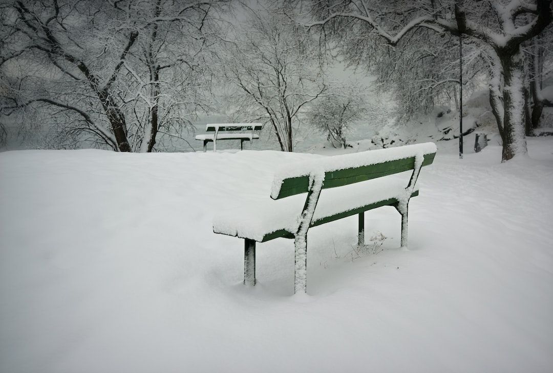 The Advent of Winters With Its Fragrance 