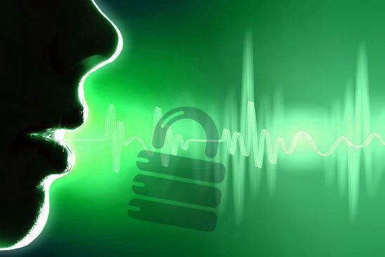 Voice Payment Market Overview and Analysis Report 2021-2028