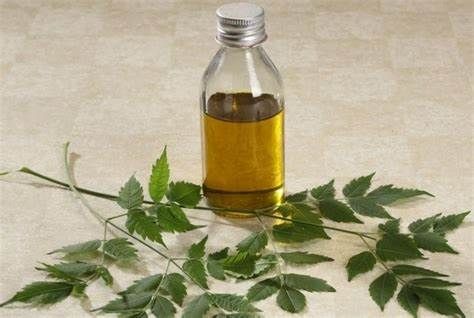 Vulvodynia Treatment Market | Growth & Trends | Industry Report