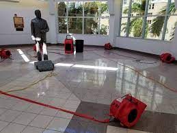 Mold Damage After Flood