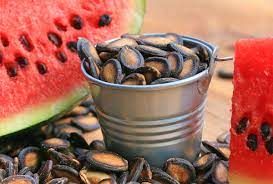Watermelon Seeds Market 2022 Analysis Report Till 2028
