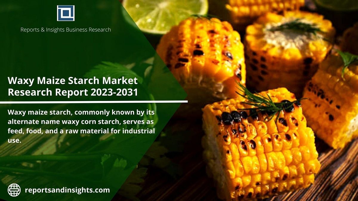 Waxy Maize Starch: Unlocking the Potential of the Global Market 