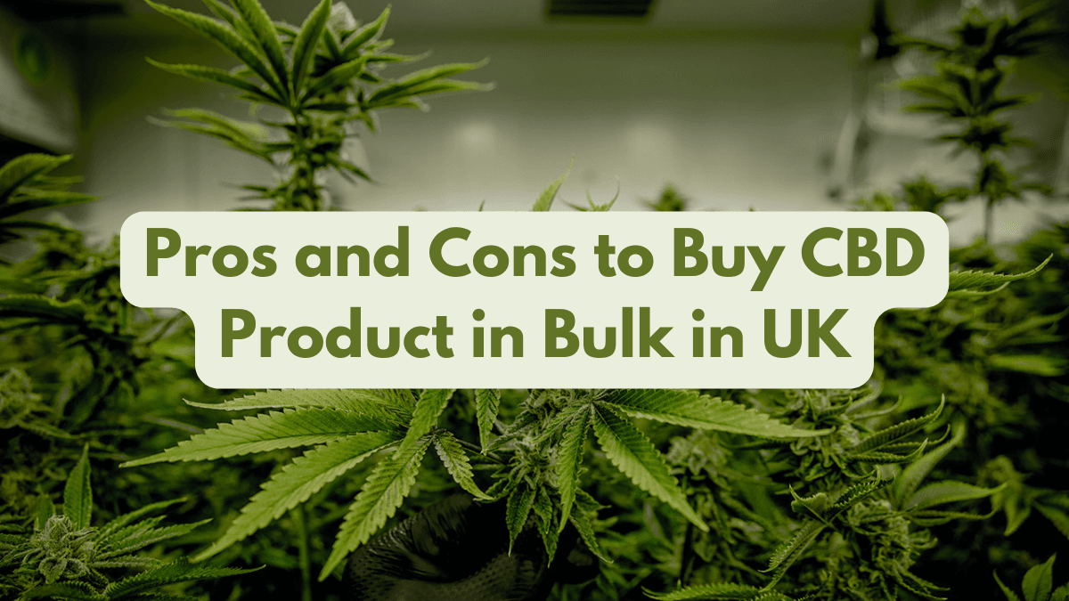 Pros and Cons to Buy Cbd Product in Bulk in Uk