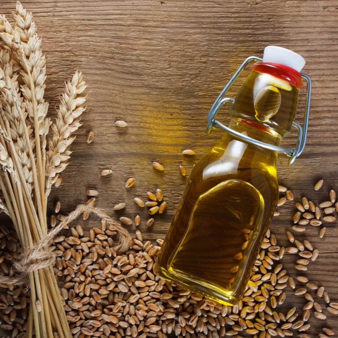Wheat Germ Oil Market Size, Share, Regional Overview to 2028