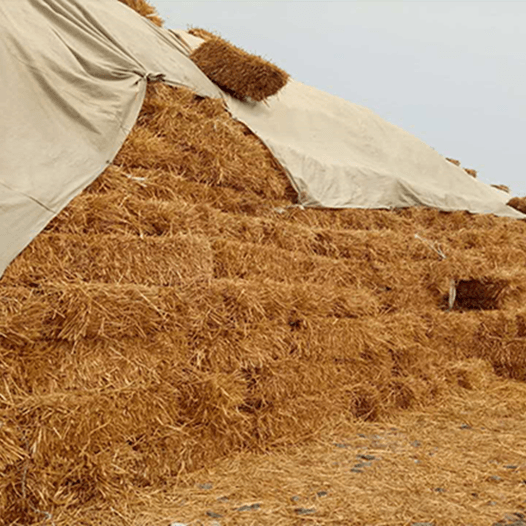 Wheat Straw Pulp Market Size, Dynamics & Forecast Report to 2028