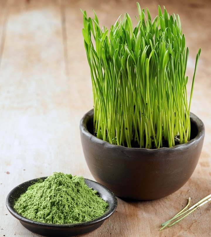 Wheatgrass Powder Market Size 2020 Emerging Trends Report 2028