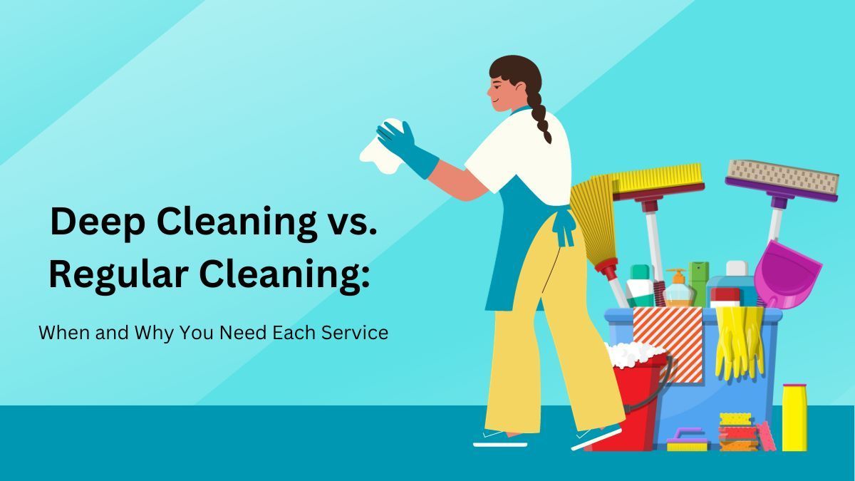 Deep Cleaning & Regular Cleaning: When and Why You Need Service