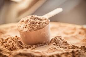 Report on Whey Protein Market Research 2028
