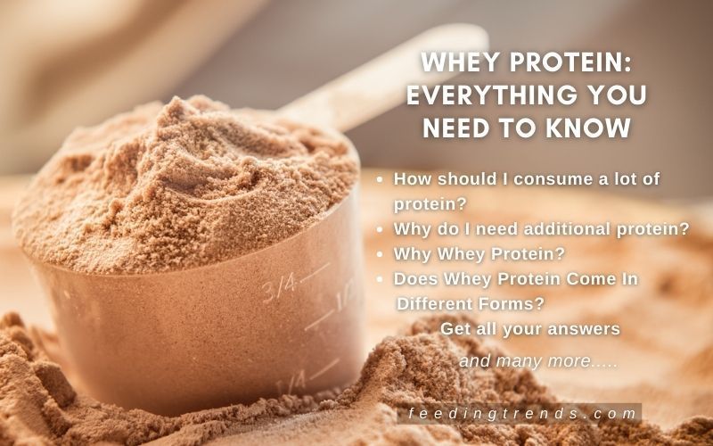 Whey Protein: Everything You Need To Know