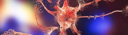 Wolfram Syndrome Treatment Market Opportunity & Forecast to 2028
