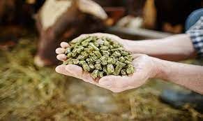 Zootechnical Feed Additives Market Global Industry Analysis 2030