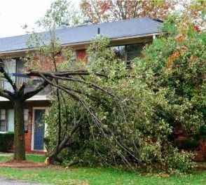 All Seasons Landscaping - Affordable Sod Installers