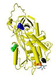 Antithrombin Market Report, Industry Opportunity & Forecast