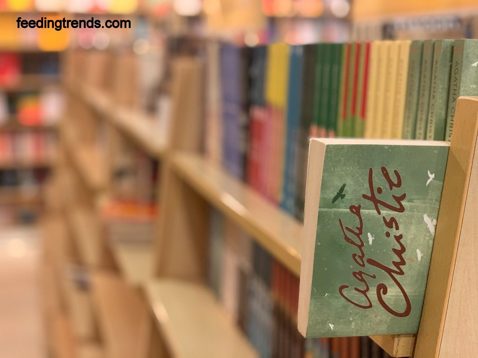 Non-Fiction Books For Beginners