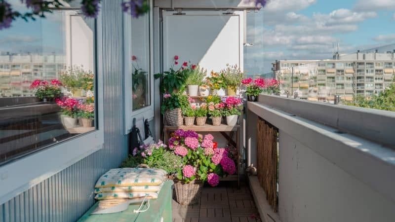 Pros of Buying Plant Racks From Global Resources