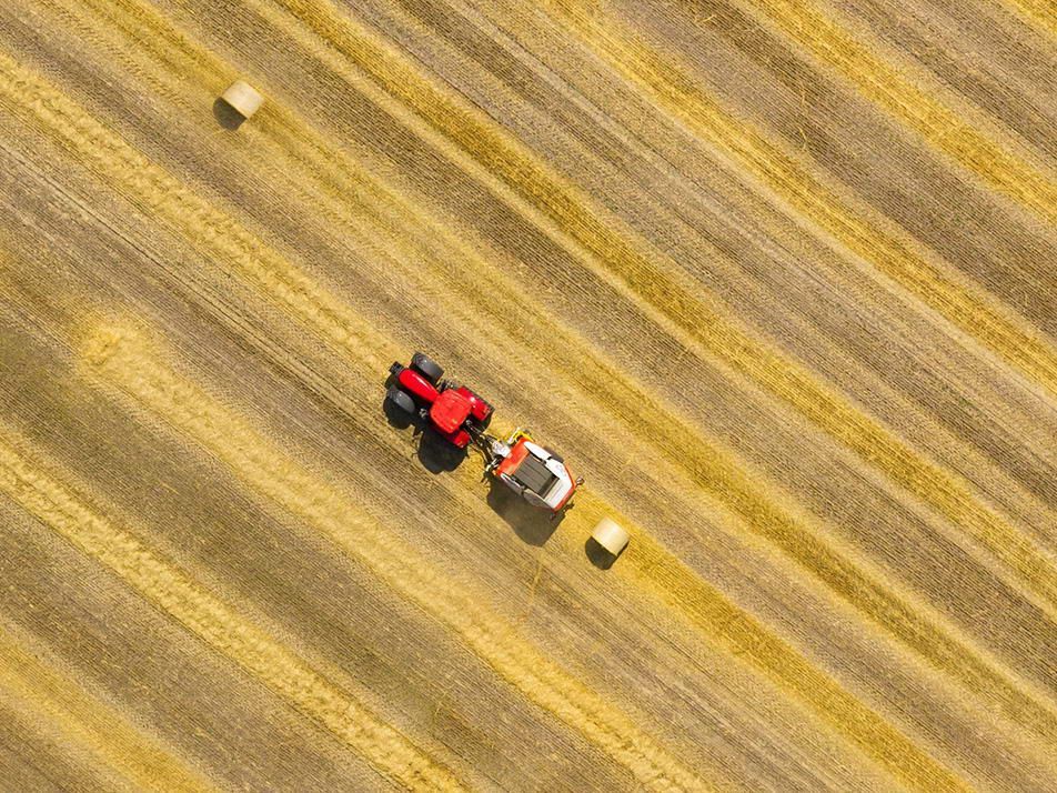 Rete per Rotopresse Market Size See Incredible Growth During 2033