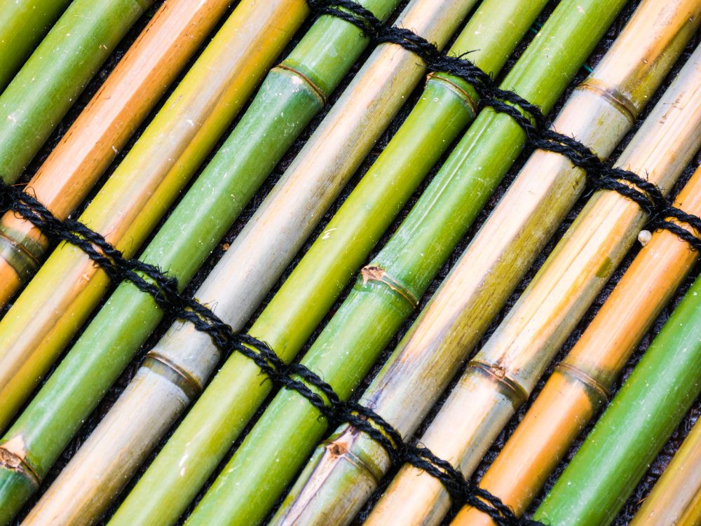 Bamboo Market Forecast 2026–2036: Market Expansion Driven by Sustainable Materials and Green Construction Tren