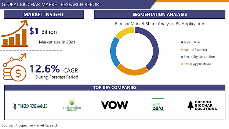 Global Biochar Market May See Big Move