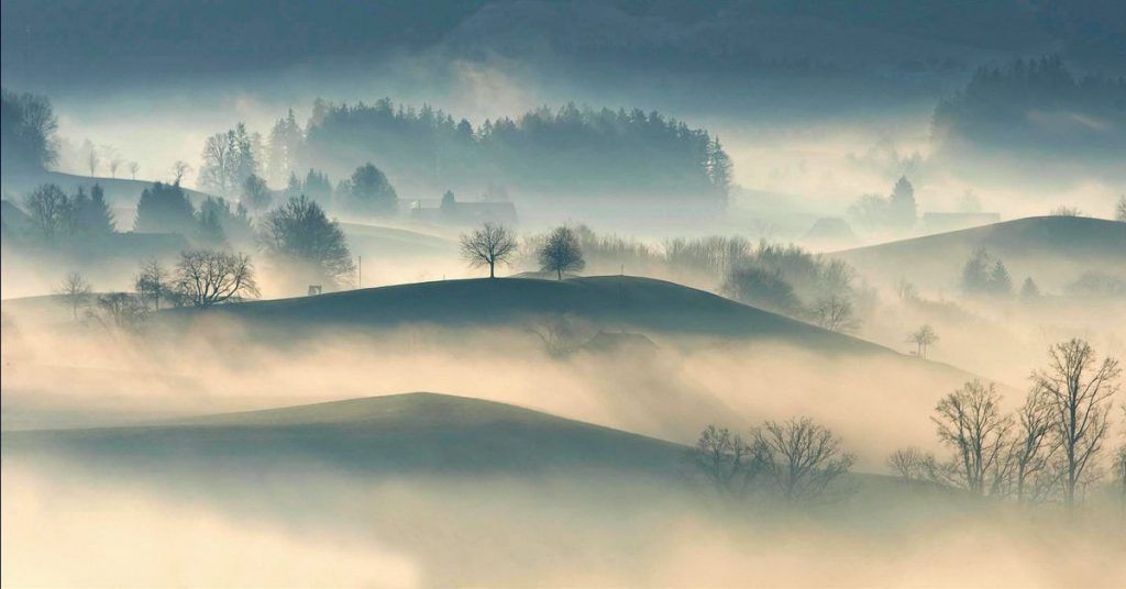 5 Easy Ways to Tackle Brain Fog Symptoms and Causes