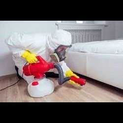 A Quick Guide to Professional Pest Services