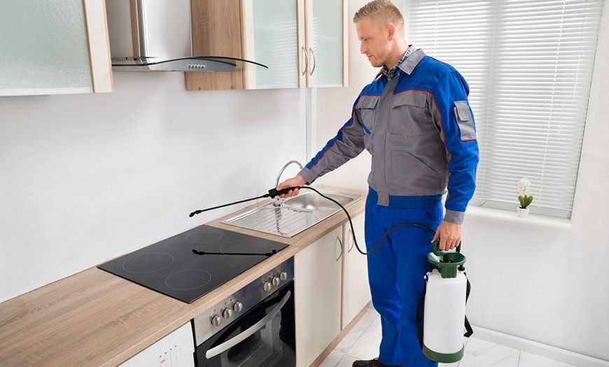 Don’ts to Hiring a Company for Pest Control in Brampton