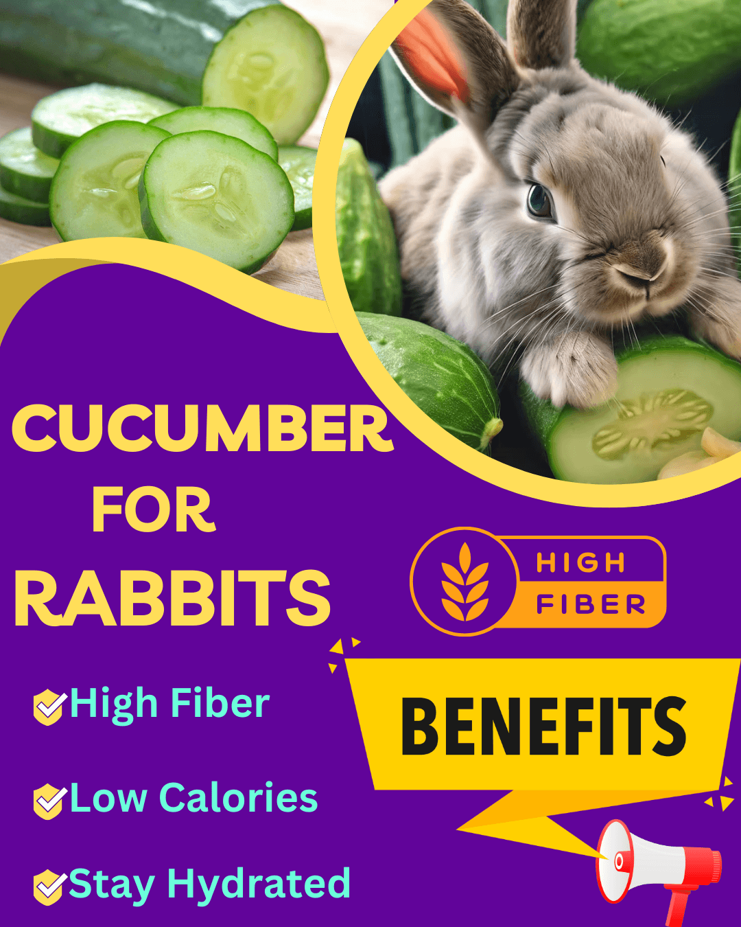Is It Safe to Feed Cucumbers to Your Rabbit?