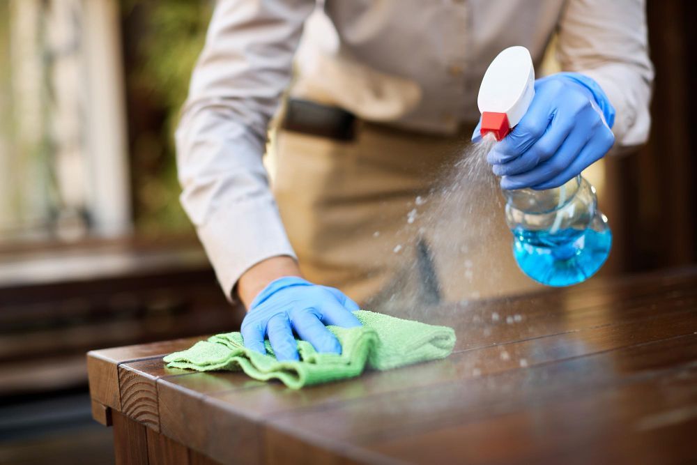 A Beginner's Guide to Routine Cleaners: How to Use Them | Feeding Trends