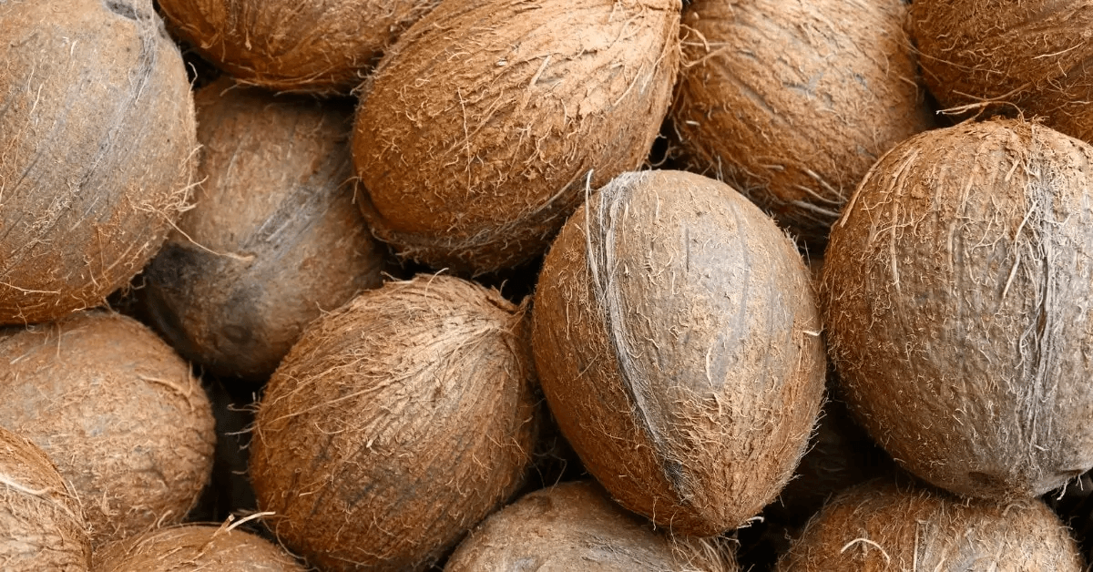 Unlocking the Goodness of Coconut Tea: Health Benefits and More