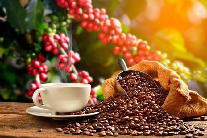 Make a Perfect Coffee
