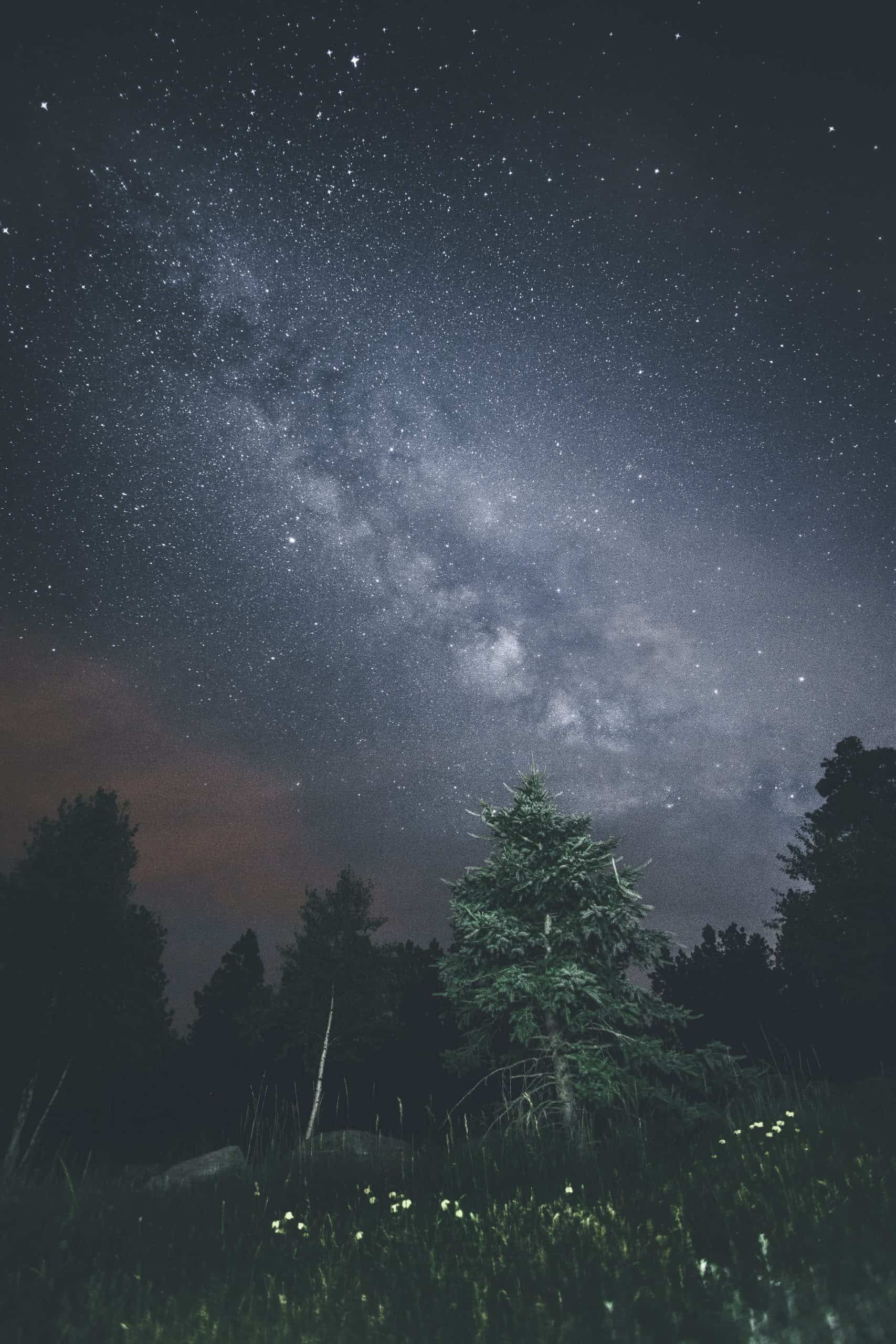 How Being Grateful Will Change the Way You Travel