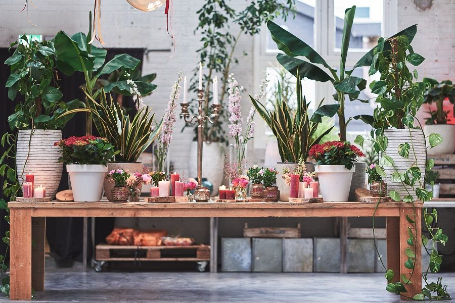 How to Style an Outdoor Bar Cart with Potted Plants and Herbs