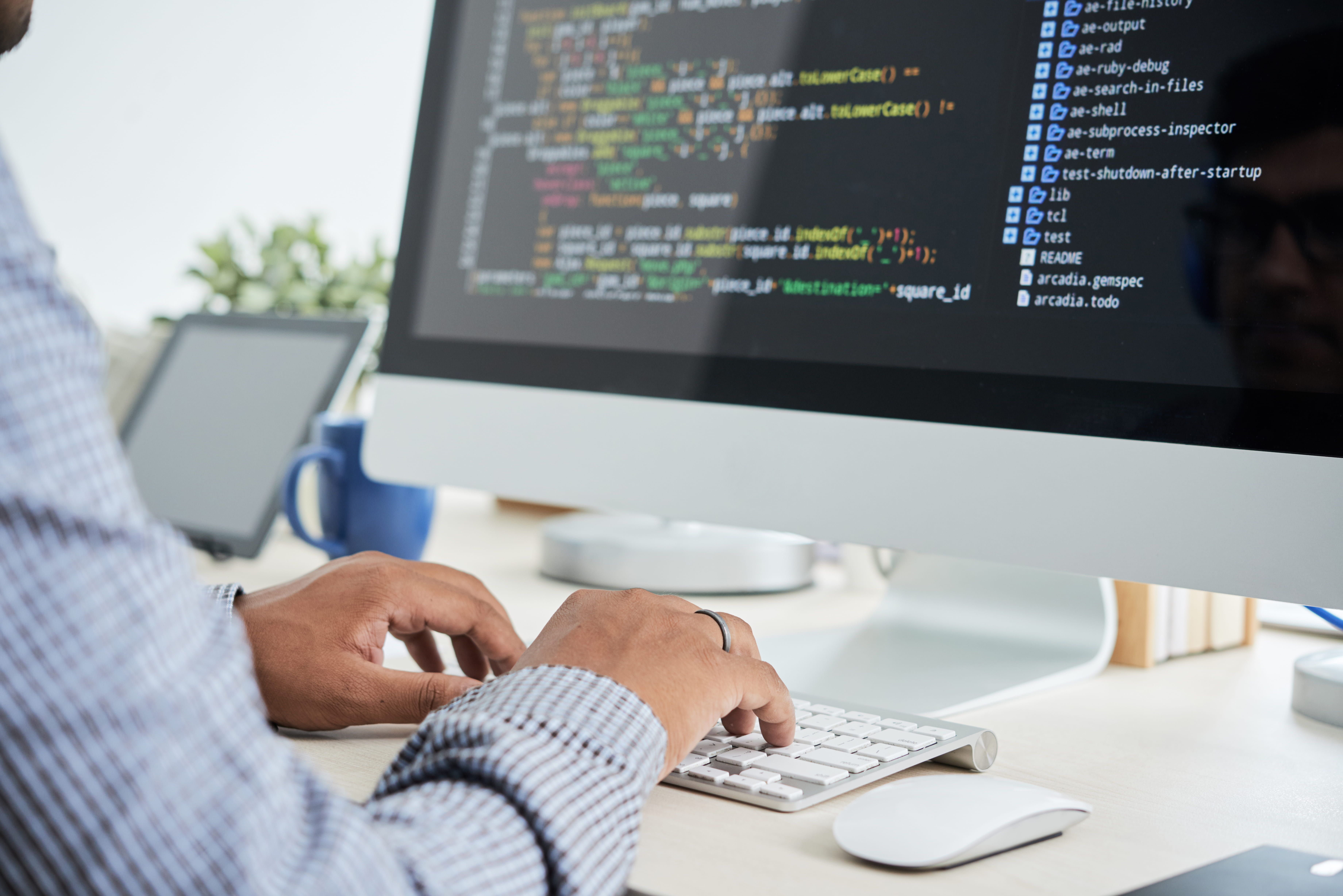 The Role of DApps in Blockchain: Bespoke Software for the Blockchain Era